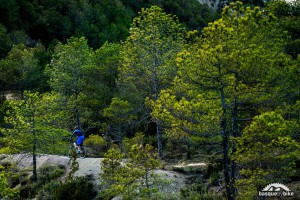 Enduro mtb singletracks in the Pyrenees