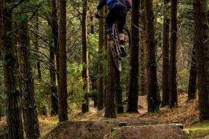 Mountain bike tours in Spain