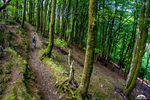 Mountain bike tours in Spain