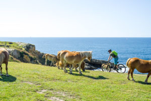 basque biking tours